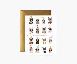 COOL CATS BIRTHDAY CARD SKU GCB077