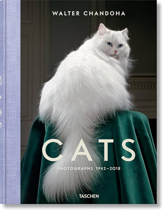 CATS PHOTOGRAPHS 1942-2018