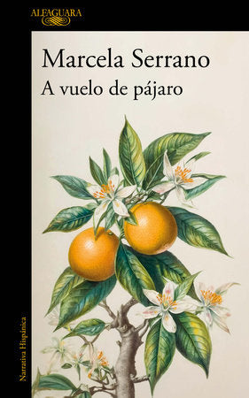 A VUELO DE PAJARO