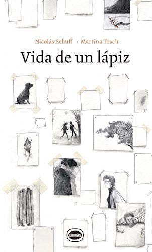 VIDA DE UN LAPIZ