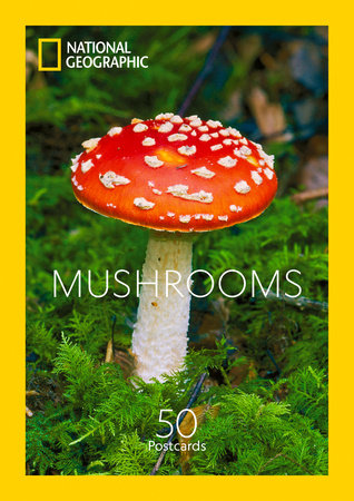 MUSHROOMS * 50 POSTCARDS
